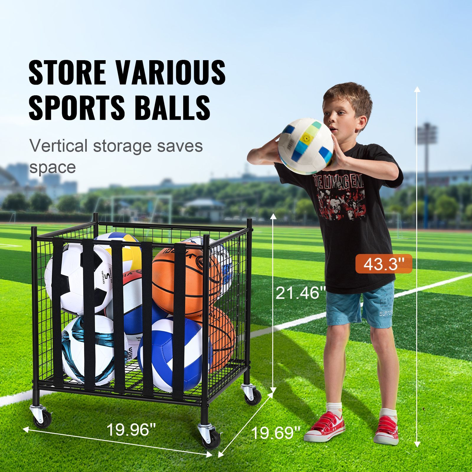 Rollbarer Sportball-Aufbewahru – Sports Equipment In School Bewertung und Preis