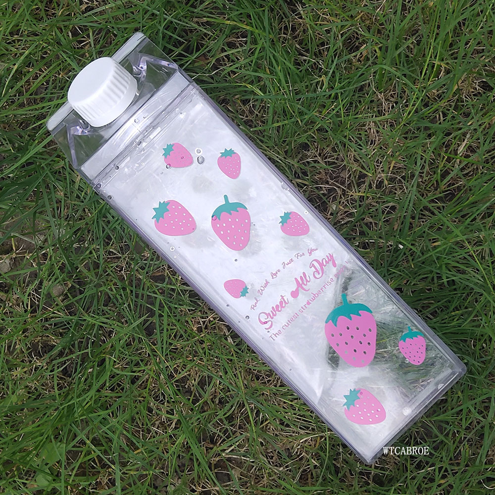 500 ml Wasserflasche, Trinkges – Sports Equipment Kitchener Bewertung und Preis