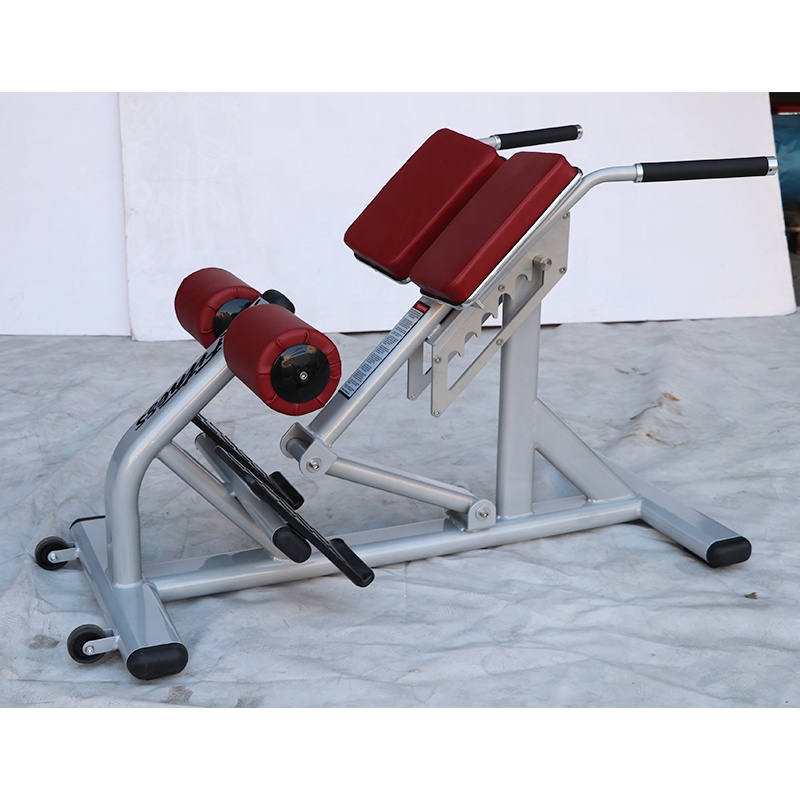 Unisex Römischer Stuhl Verstel – Sports Equipment In School Bewertung und Preis