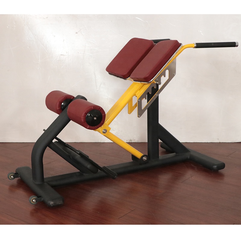 Unisex Römischer Stuhl Verstel – Sports Equipment In School Bewertung und Preis