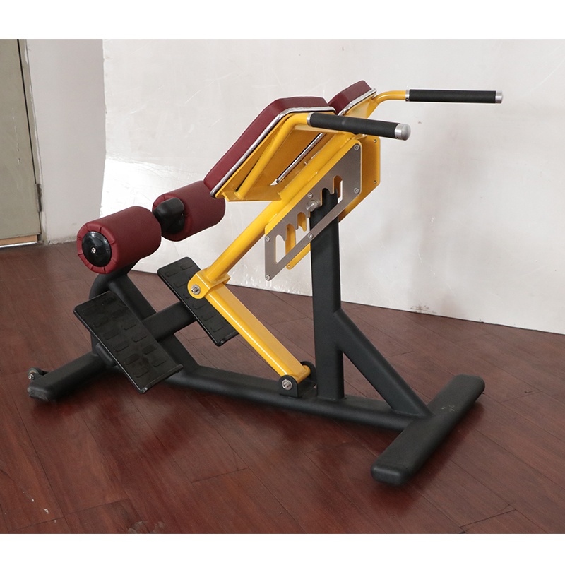 Unisex Römischer Stuhl Verstel – Sports Equipment In School Bewertung und Preis